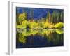 USA, California, Fall Colors Reflecting in a Beaver Pond-Jaynes Gallery-Framed Photographic Print