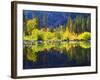 USA, California, Fall Colors Reflecting in a Beaver Pond-Jaynes Gallery-Framed Photographic Print