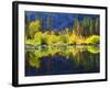 USA, California, Fall Colors Reflecting in a Beaver Pond-Jaynes Gallery-Framed Photographic Print