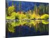 USA, California, Fall Colors Reflecting in a Beaver Pond-Jaynes Gallery-Mounted Photographic Print