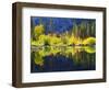 USA, California, Fall Colors Reflecting in a Beaver Pond-Jaynes Gallery-Framed Photographic Print