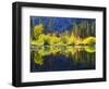 USA, California, Fall Colors Reflecting in a Beaver Pond-Jaynes Gallery-Framed Photographic Print