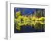 USA, California, Fall Colors Reflecting in a Beaver Pond-Jaynes Gallery-Framed Photographic Print