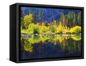 USA, California, Fall Colors Reflecting in a Beaver Pond-Jaynes Gallery-Framed Stretched Canvas