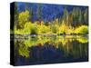 USA, California, Fall Colors Reflecting in a Beaver Pond-Jaynes Gallery-Stretched Canvas