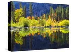 USA, California, Fall Colors Reflecting in a Beaver Pond-Jaynes Gallery-Stretched Canvas