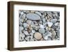 USA, California, Ft. Bragg, Close-up of Glass Beach Pebbles-Rob Tilley-Framed Photographic Print