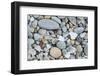 USA, California, Ft. Bragg, Close-up of Glass Beach Pebbles-Rob Tilley-Framed Photographic Print