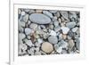 USA, California, Ft. Bragg, Close-up of Glass Beach Pebbles-Rob Tilley-Framed Premium Photographic Print