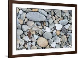 USA, California, Ft. Bragg, Close-up of Glass Beach Pebbles-Rob Tilley-Framed Premium Photographic Print