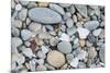 USA, California, Ft. Bragg, Close-up of Glass Beach Pebbles-Rob Tilley-Mounted Premium Photographic Print