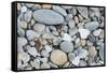 USA, California, Ft. Bragg, Close-up of Glass Beach Pebbles-Rob Tilley-Framed Stretched Canvas
