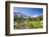 USA, California. Glacial lake in the Little Lakes Valley, Bishop and Mammoth Lakes.-Christopher Reed-Framed Photographic Print