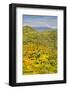 USA, California, Hemet. Visitors hike the Wildflower Trail at Diamond Valley Lake-Ann Collins-Framed Photographic Print