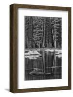 USA, California, High Sierra Lake-John Ford-Framed Photographic Print