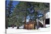 USA, California, House and Trees at Sierra Nevada Mountains-Zandria Muench Beraldo-Stretched Canvas