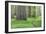 USA, California, Humboldt Redwoods State Park. Redwood tree scenic.-Jaynes Gallery-Framed Photographic Print