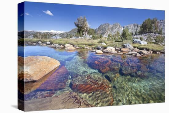 USA, California, Inyo National Forest. Clear stream near Garnet Lake.-Don Paulson-Stretched Canvas