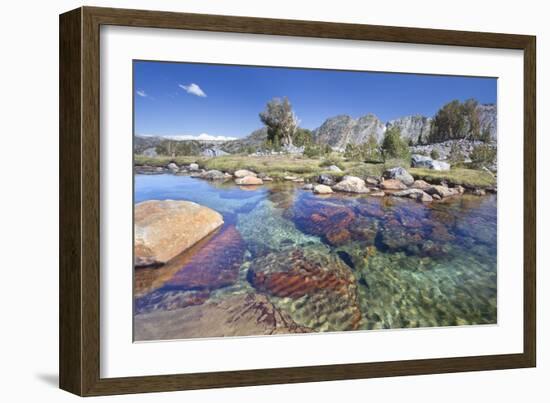 USA, California, Inyo National Forest. Clear stream near Garnet Lake.-Don Paulson-Framed Photographic Print