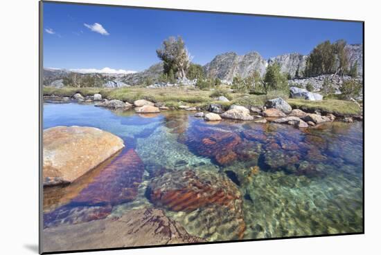 USA, California, Inyo National Forest. Clear stream near Garnet Lake.-Don Paulson-Mounted Photographic Print