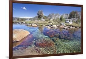 USA, California, Inyo National Forest. Clear stream near Garnet Lake.-Don Paulson-Framed Photographic Print