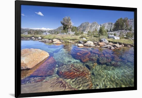 USA, California, Inyo National Forest. Clear stream near Garnet Lake.-Don Paulson-Framed Photographic Print