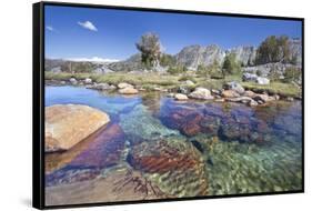 USA, California, Inyo National Forest. Clear stream near Garnet Lake.-Don Paulson-Framed Stretched Canvas