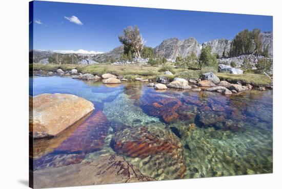 USA, California, Inyo National Forest. Clear stream near Garnet Lake.-Don Paulson-Stretched Canvas