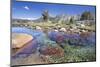 USA, California, Inyo National Forest. Clear stream near Garnet Lake.-Don Paulson-Mounted Photographic Print