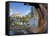 USA, California, Inyo NF. Old pine and tarn next to Garnet Lake.-Don Paulson-Framed Stretched Canvas