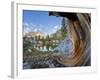 USA, California, Inyo NF. Old pine and tarn next to Garnet Lake.-Don Paulson-Framed Photographic Print