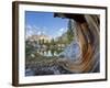 USA, California, Inyo NF. Old pine and tarn next to Garnet Lake.-Don Paulson-Framed Photographic Print