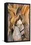 USA, California, Inyo NF. Patterns in bristlecone pine wood.-Don Paulson-Framed Stretched Canvas