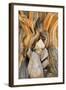 USA, California, Inyo NF. Patterns in bristlecone pine wood.-Don Paulson-Framed Photographic Print