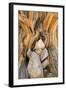 USA, California, Inyo NF. Patterns in bristlecone pine wood.-Don Paulson-Framed Photographic Print