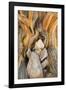USA, California, Inyo NF. Patterns in bristlecone pine wood.-Don Paulson-Framed Photographic Print