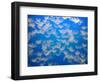 USA, California. Jellyfish in the Monterey Bay Aquarium.-Anna Miller-Framed Photographic Print