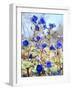 USA, California, Joshua Tree Desert Bell or Phacelia Wildflowers-Jaynes Gallery-Framed Photographic Print