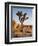 USA, California, Joshua Tree National Park at Hidden Valley-Ann Collins-Framed Premium Photographic Print