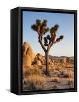 USA, California, Joshua Tree National Park at Hidden Valley-Ann Collins-Framed Stretched Canvas