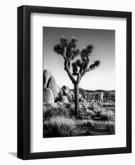 USA, California, Joshua Tree National Park at Hidden Valley-Ann Collins-Framed Premium Photographic Print