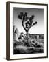 USA, California, Joshua Tree National Park at Hidden Valley-Ann Collins-Framed Photographic Print