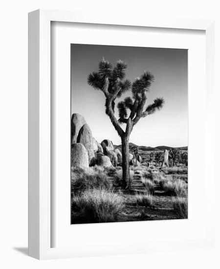 USA, California, Joshua Tree National Park at Hidden Valley-Ann Collins-Framed Photographic Print