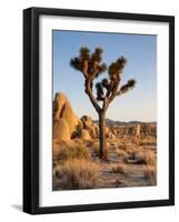 USA, California, Joshua Tree National Park at Hidden Valley-Ann Collins-Framed Photographic Print