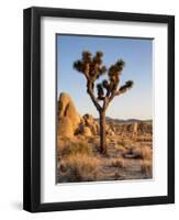 USA, California, Joshua Tree National Park at Hidden Valley-Ann Collins-Framed Photographic Print