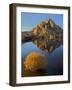 USA, California, Joshua Tree National Park, Barker Lake-Charles Gurche-Framed Photographic Print