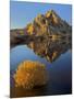 USA, California, Joshua Tree National Park, Barker Lake-Charles Gurche-Mounted Photographic Print