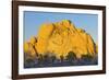 USA, California, Joshua Tree National Park, granite, Joshua trees-Charles Gurche-Framed Photographic Print