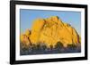 USA, California, Joshua Tree National Park, granite, Joshua trees-Charles Gurche-Framed Photographic Print