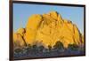 USA, California, Joshua Tree National Park, granite, Joshua trees-Charles Gurche-Framed Photographic Print